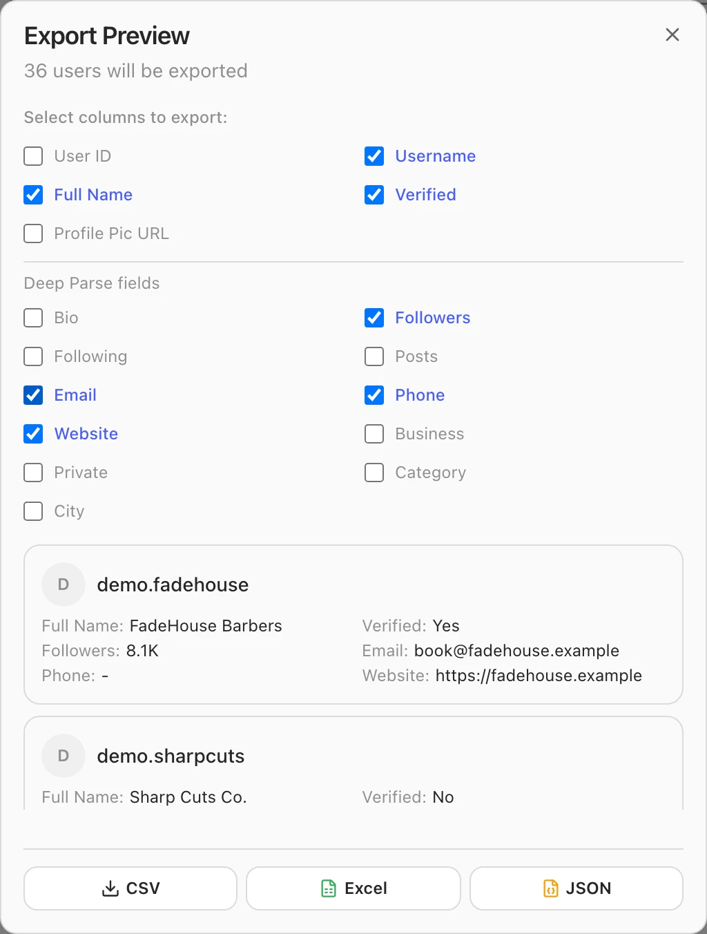 Deep Parse fieldsのあるExport Previewダイアログ — Email・Phone・Websiteのカラムにチェック — 一方のアカウントには公開メールがあり、もう一方にはないプレビュー行