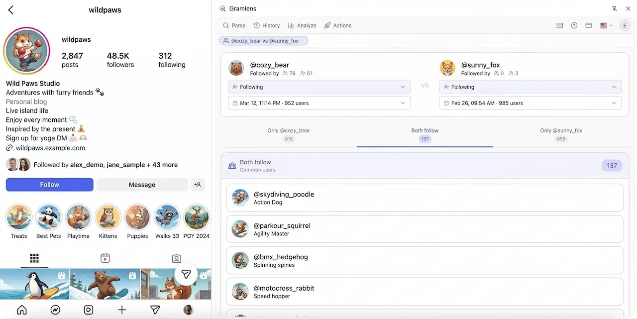 Account Comparison in Gramlens: @cozy_bear vs @sunny_fox with their follower counts in the header, and three tabs — Only @cozy_bear, Both follow (active), Only @sunny_fox — listing the common users underneath.