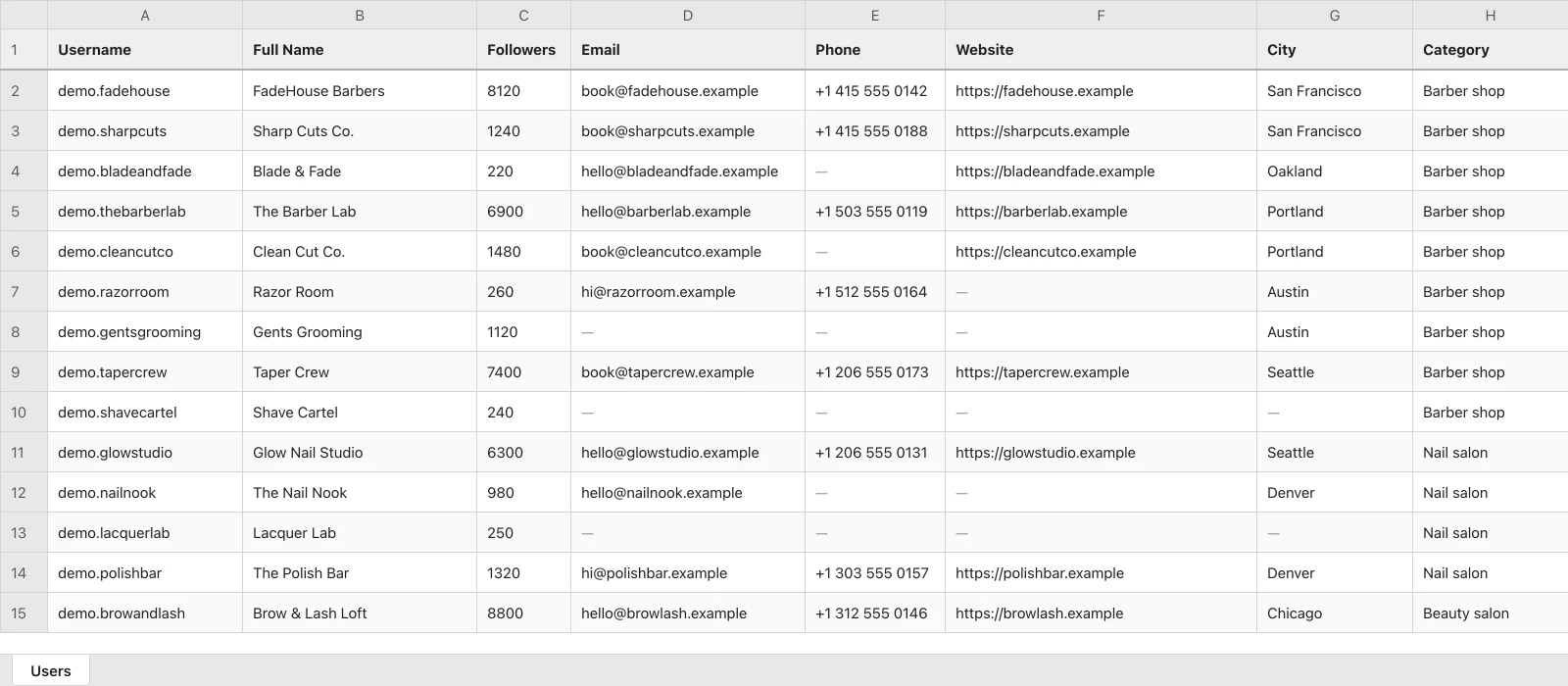 Tableur d'abonnés exportés : colonnes nom, e-mail, téléphone, site web et ville.